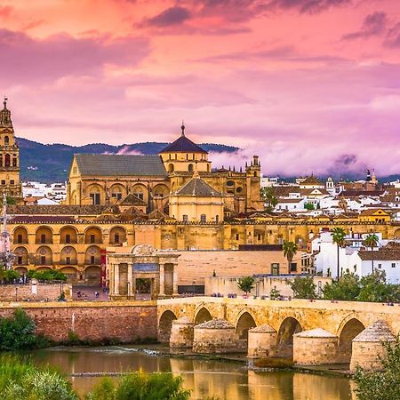 Apartamento La Muralla De San Lorenzo 科爾多瓦 外观 照片