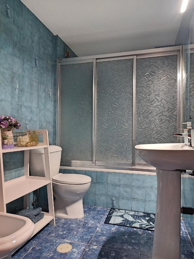 Apartamento La Muralla De San Lorenzo 科爾多瓦 外观 照片