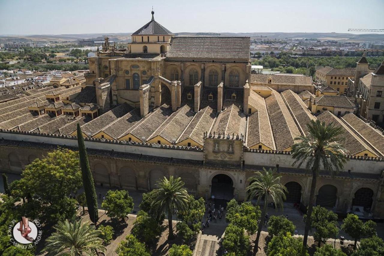 Apartamento La Muralla De San Lorenzo 科爾多瓦 外观 照片